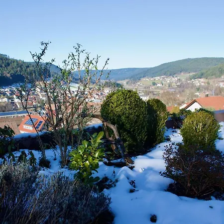 Mit Herrlicher Aussicht Uebers Murgtal * Baiersbronn