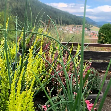 Apartamento Mit Herrlicher Aussicht Uebers Murgtal *